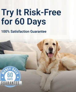 Seurico™ Calming Pet Diffuser
